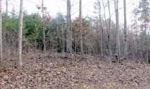 Lot 3 Occoneechee Lane Clarksville, VA 23927