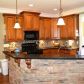 6821 Anderson Lake Road, Dawsonville, GA 30534 ID:13241662