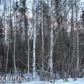 Tr A-1 Cedar Hills, Palmer, AK 99645 ID:13245171