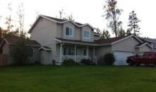 820 S PINNACLE MOUNTAIN Palmer, AK 99645