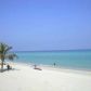 2030 S OCEAN DR # 811, Hallandale, FL 33009 ID:13173823
