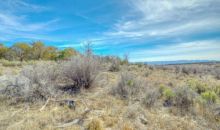 Lot 2 Road 24.4 Cortez, CO 81321