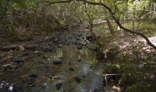 244 Wild Turkey Trail Dahlonega, GA 30533