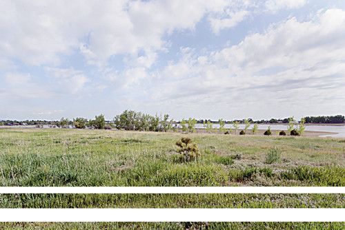 4290 Tarryall Ct, Loveland, CO 80538