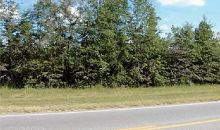 0 Coastal Hwy Fleming, GA 31309