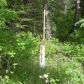 6459 N Tazlina Drive, Palmer, AK 99645 ID:13061718