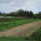 335 Skelton Road, Hoschton, GA 30548 ID:13242242
