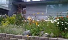 2303 Roosevelt Drive Anchorage, AK 99517