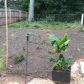 3461 Rockmill Drive, Ellenwood, GA 30294 ID:13314290