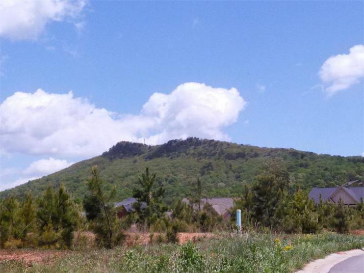 1970 Poplar Ridge Place, Cumming, GA 30040