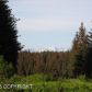 1310 Dons Drive, Homer, AK 99603 ID:12963667