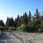 1310 Dons Drive, Homer, AK 99603 ID:12963668