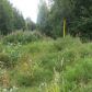 4836 N Palmer Fishhook Road, Palmer, AK 99645 ID:13245230