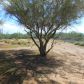 3734 S Connell Drive, Tucson, AZ 85735 ID:13382140