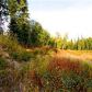 10170 N Solid Rock Circle, Palmer, AK 99645 ID:13343216