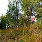 10170 N Solid Rock Circle, Palmer, AK 99645 ID:13343219