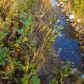 10170 N Solid Rock Circle, Palmer, AK 99645 ID:13343220
