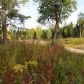 10170 N Solid Rock Circle, Palmer, AK 99645 ID:13343222