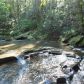 539 Yahoola Trace, Dahlonega, GA 30533 ID:13350780
