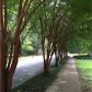 355 Lindbergh Drive Ne, Atlanta, GA 30305 ID:13426515