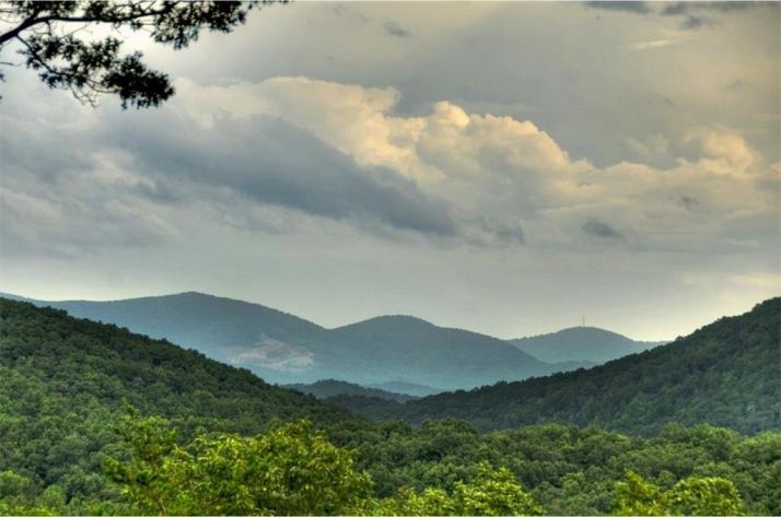 445 All Good Road, Blue Ridge, GA 30513