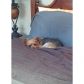 672 NW 173RD TE, Hollywood, FL 33024 ID:12901446