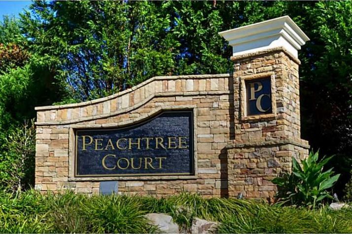 1615 Minstrel Terrace, Cumming, GA 30041