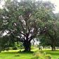 14035 NW 2 AV, Miami, FL 33168 ID:13481346