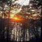 504 Allatoona Hills Drive, Woodstock, GA 30189 ID:13281145