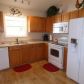 255 Hickory Bluff, Braselton, GA 30517 ID:13331673