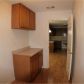 4513 Trellis Way, Braselton, GA 30517 ID:13405472