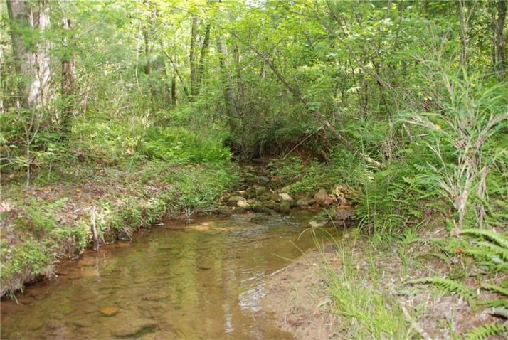 1255 Chester Road, Dahlonega, GA 30533