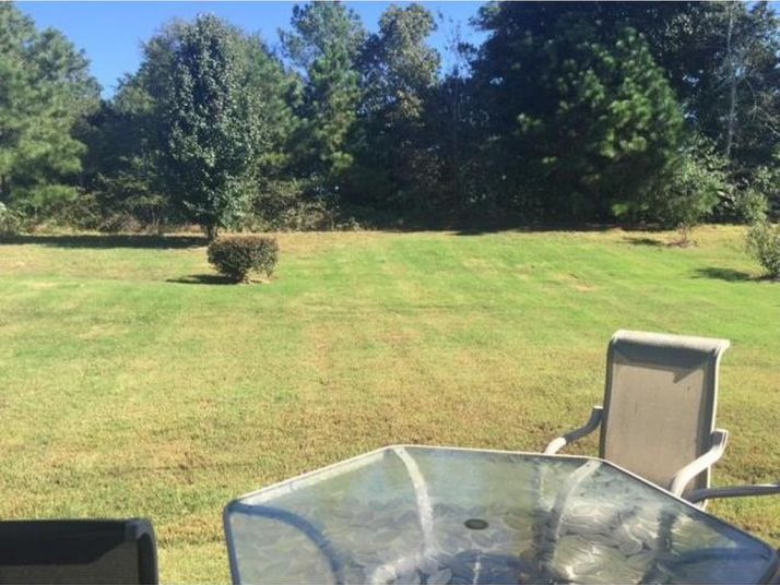 4300 Ivy Fork Drive, Loganville, GA 30052