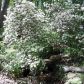 414 Bellflower Drive, Jasper, GA 30143 ID:13191533