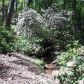 414 Bellflower Drive, Jasper, GA 30143 ID:13191534