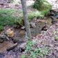 414 Bellflower Drive, Jasper, GA 30143 ID:13191536