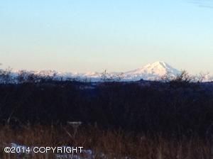 L5-8 Shelton Drive, Homer, AK 99603