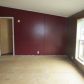 11233 W Briggs Rd, Trufant, MI 49347 ID:13325856