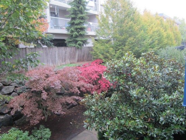 12345 Roosevelt Way #205, Seattle, WA 98125