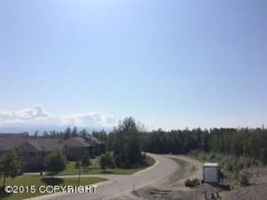 1120 N Elkhorn, Wasilla, AK 99654