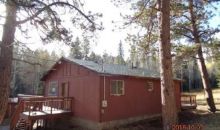 192 Miller Ln Florissant, CO 80816