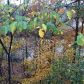 710 Granbury Way, Alpharetta, GA 30022 ID:13642014