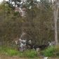 3720 Caseys Cove, Ellenwood, GA 30294 ID:13679174