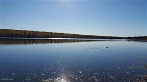 L15 B9 No Road, Big Lake, AK 99652