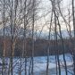 8196 E Splendid View Drive, Wasilla, AK 99654 ID:13678732