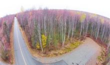 4848 W Upstream Drive Wasilla, AK 99654