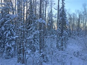 3538 N Nichols Drive, Big Lake, AK 99652