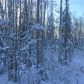 3538 N Nichols Drive, Big Lake, AK 99652 ID:13717172