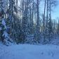 3538 N Nichols Drive, Big Lake, AK 99652 ID:13717173