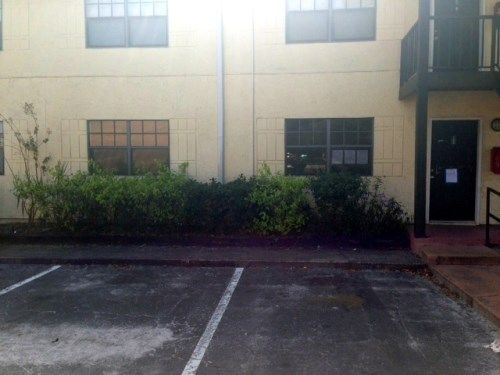 1515 Paul Russell Rd Apt 62a, Tallahassee, FL 32301